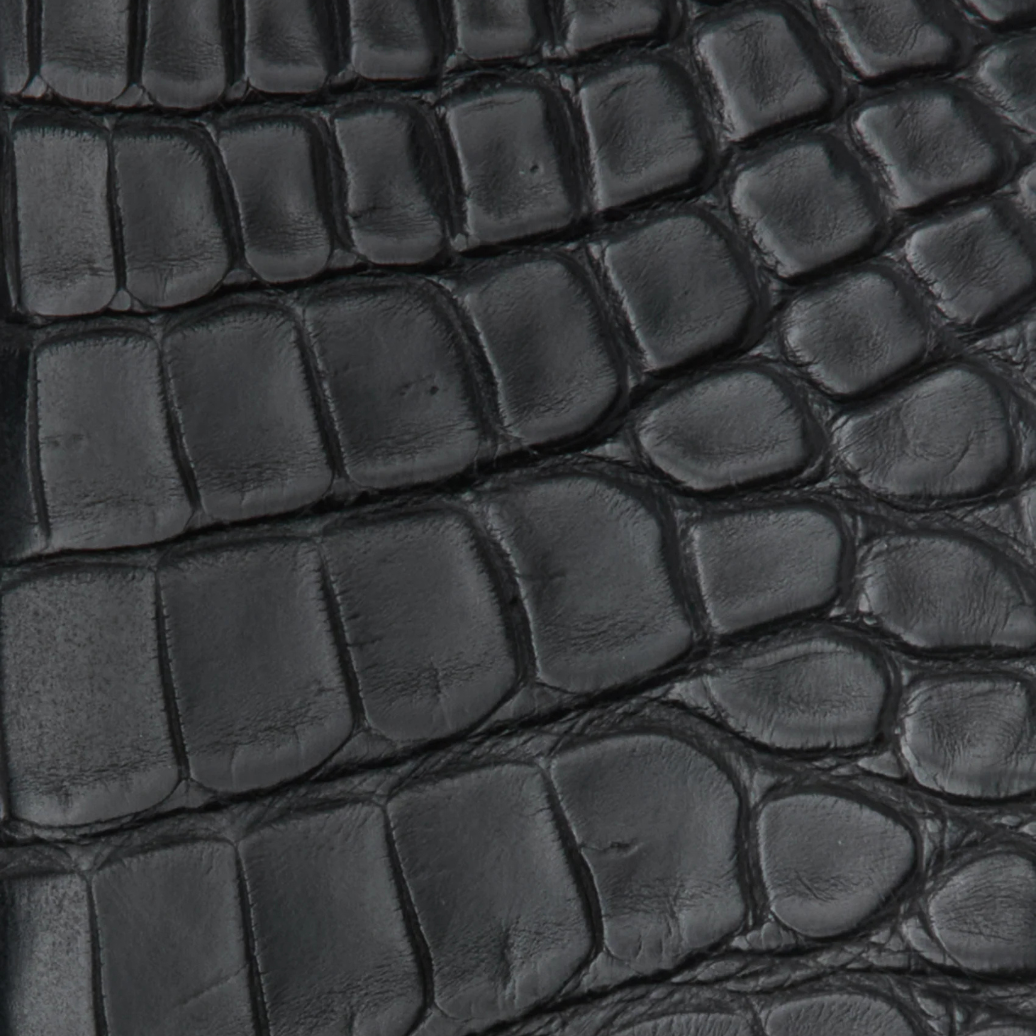 Close-up of black crocodile skin texture